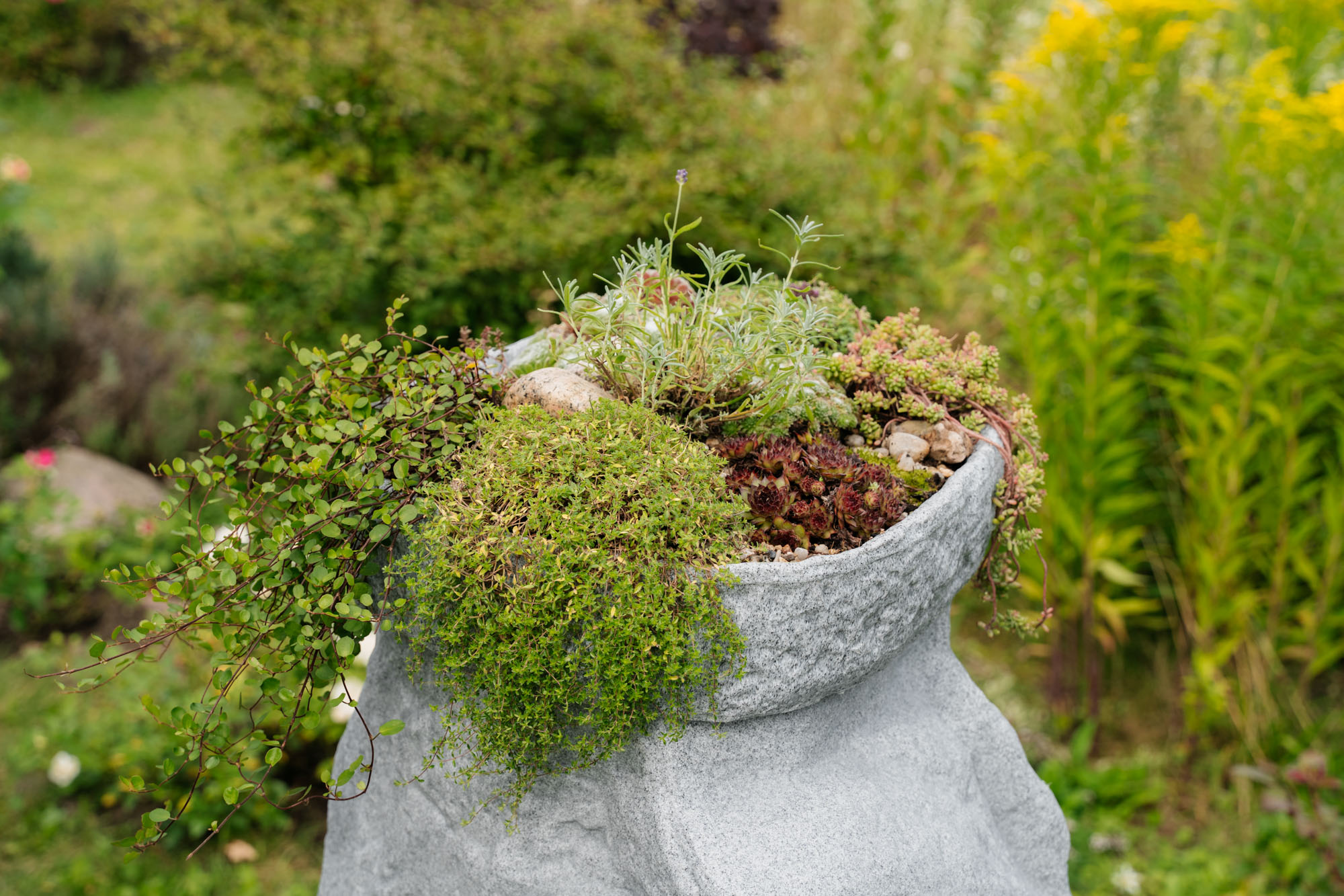 bepflanzte pflanzschale im garten auf dem hinkelstein