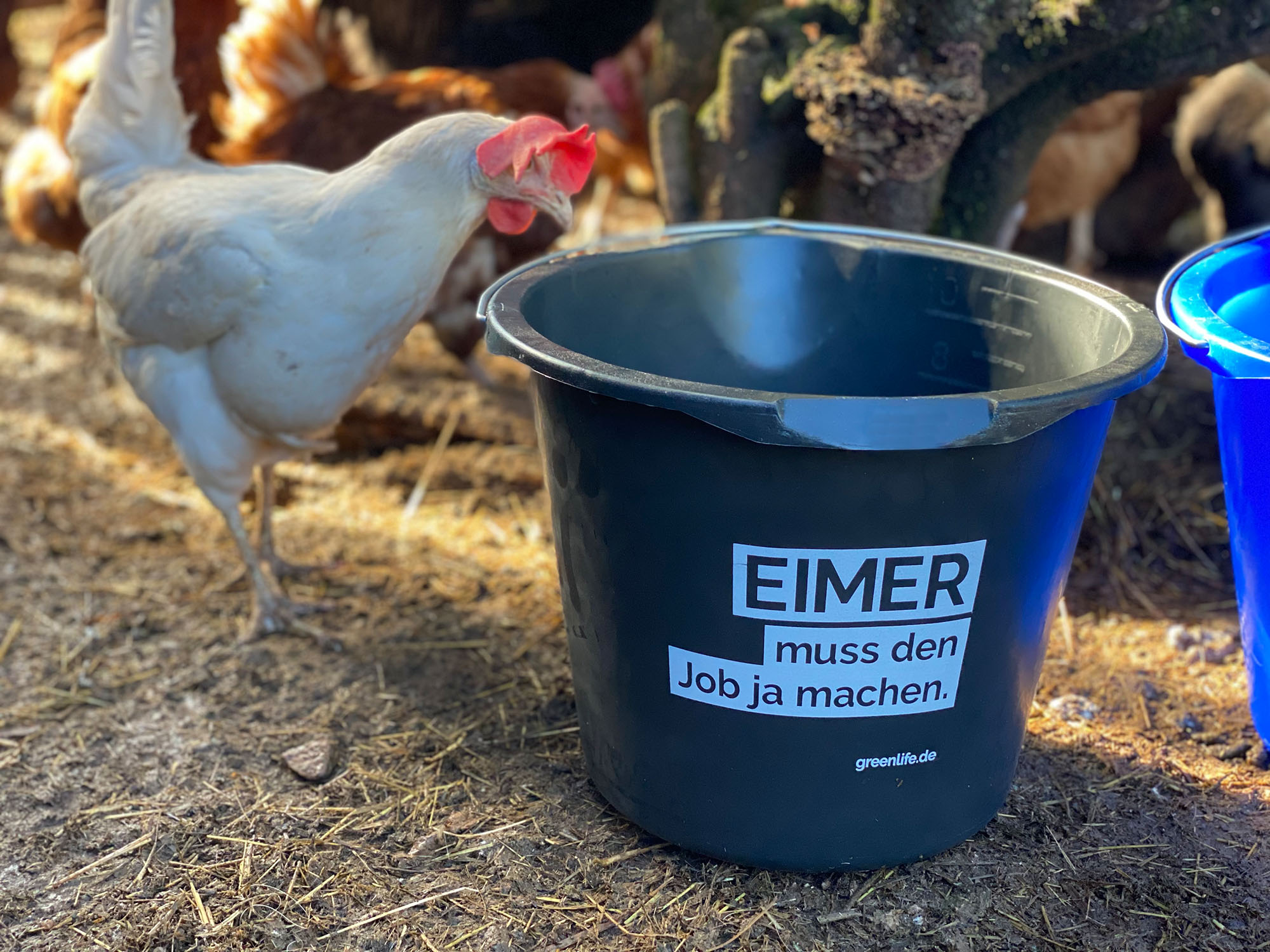 Schwarzer 12 l Eimer mit Aufdruck 'Eimer muss den Job ja machen' im Einsatz auf einem Bauernhof von GreenLife