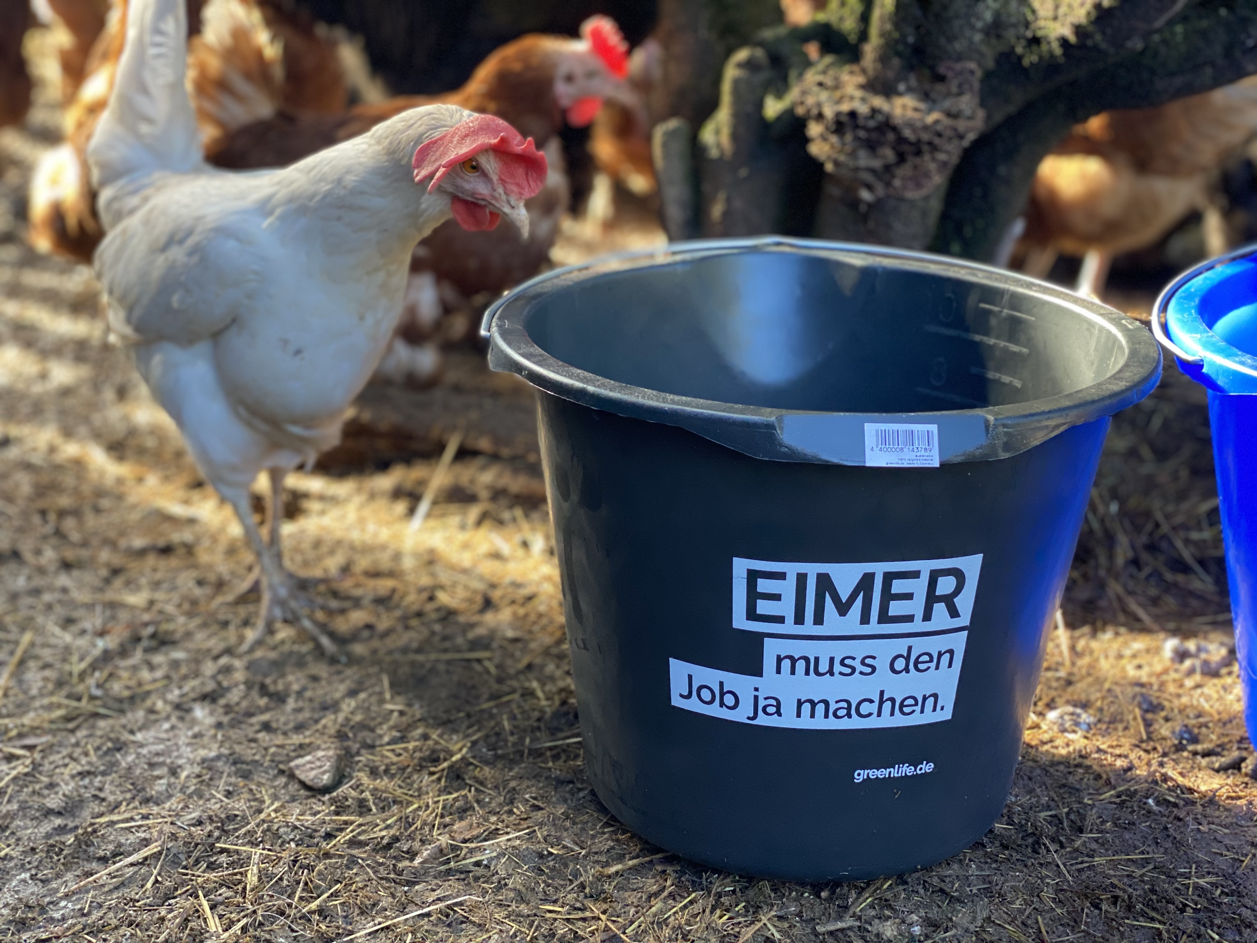 12 l Eimer mit Aufdruck "Eimer muss den Job ja machen"