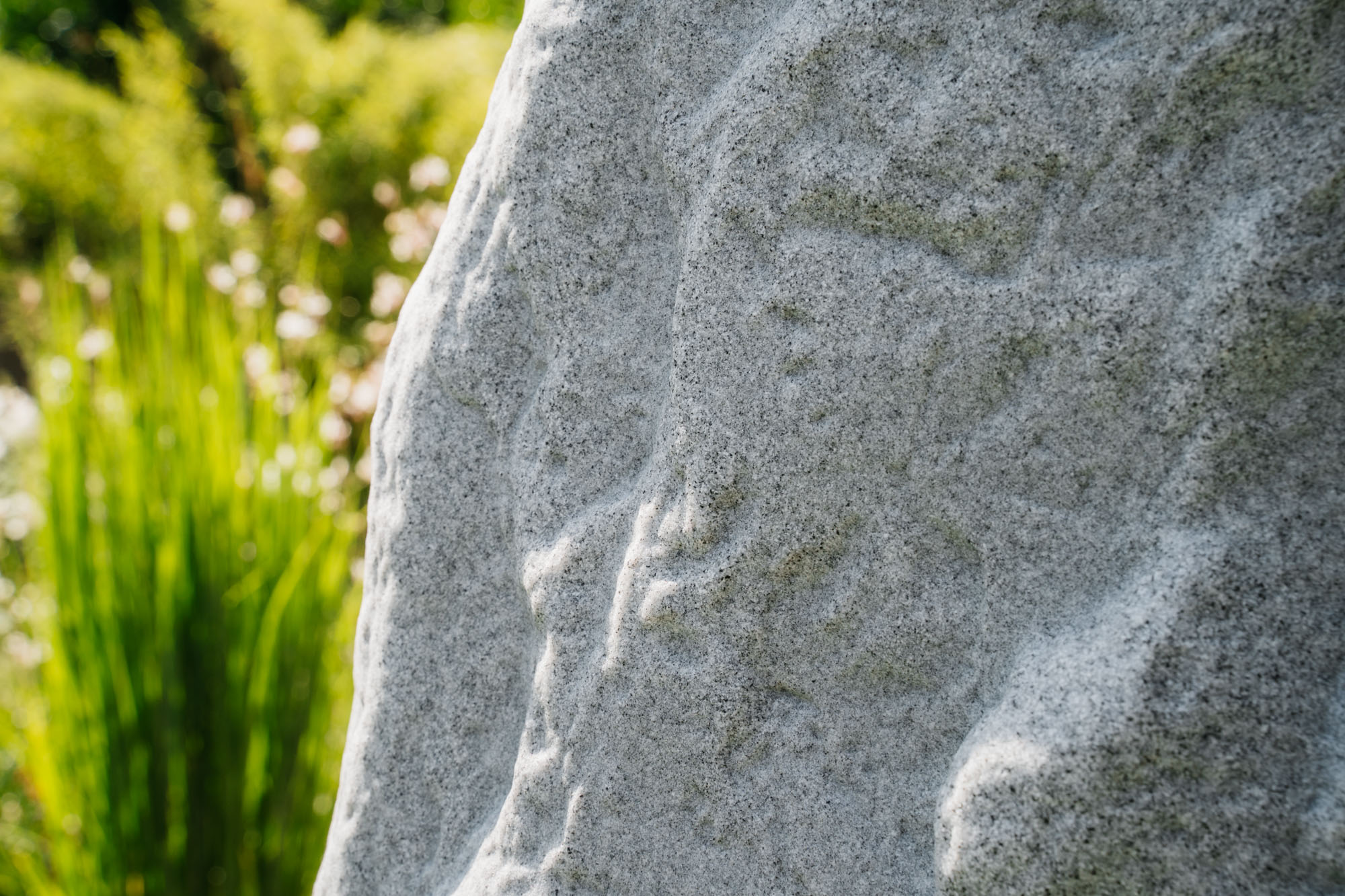 grauer regenspeicher mit grün im hintergrund