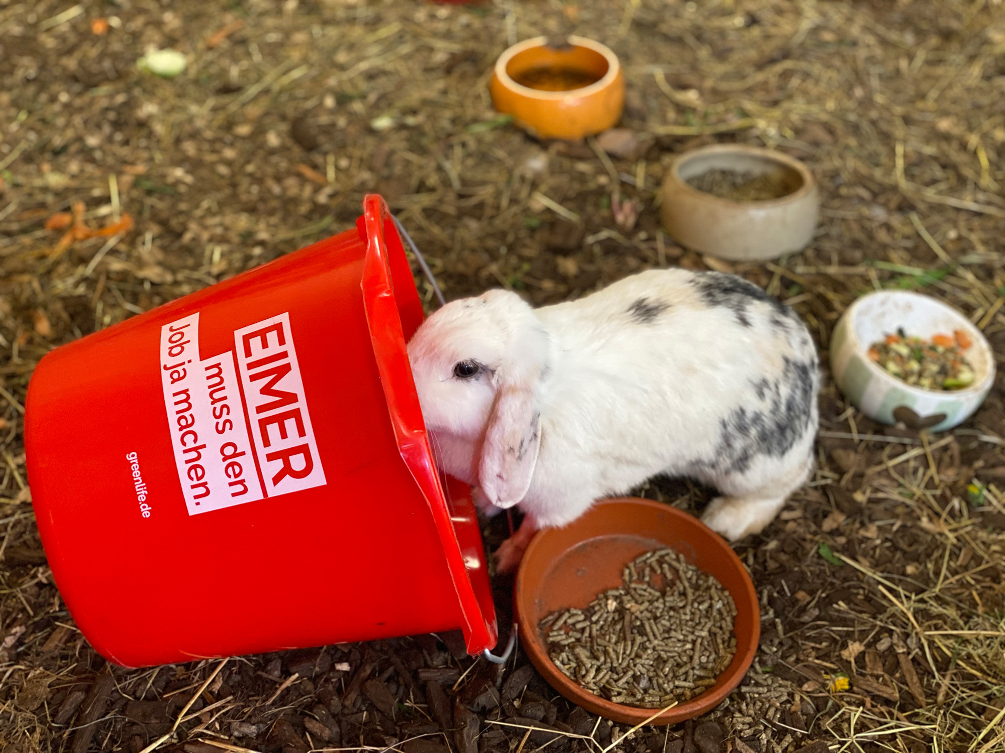 Roter 12 l Eimer mit Aufdruck 'Eimer muss den Job ja machen' im Einsatz auf einem Bauernhof von GreenLife